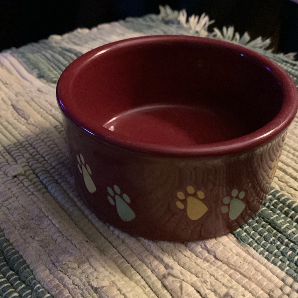 Ceramic Paw 🐾 print food bowl